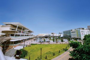 埼玉県狭山市の家屋解体、解体費用のご相談承ります